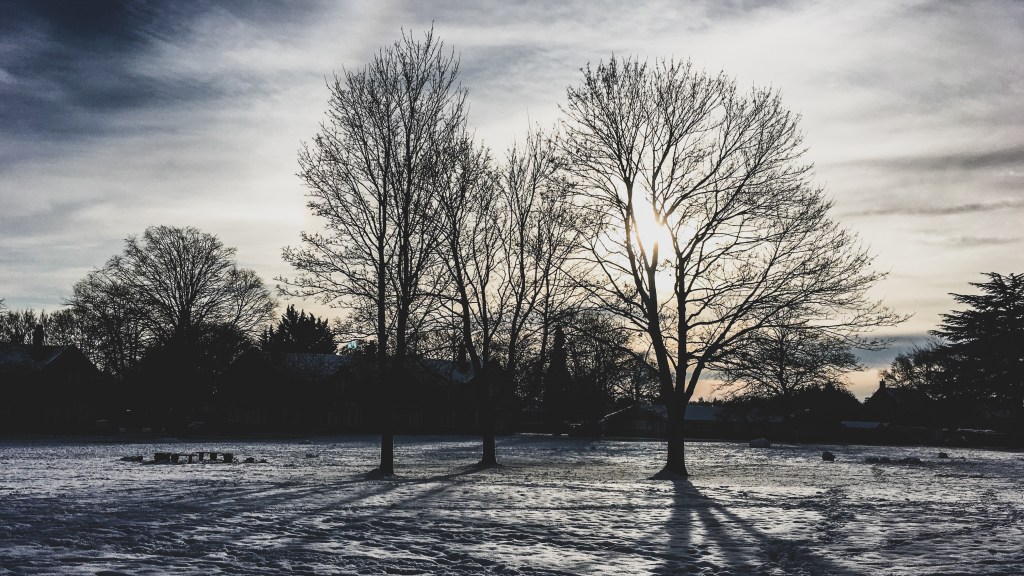 Natural Resources — Blessing or Curse?